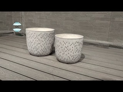 Hoa / Cây xanh Cây trồng bằng vải đất sét theo phong cách hiện đại Kháng thời tiết