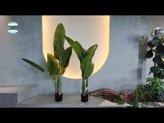 Cây Yucca nhân tạo bằng lụa 100-130cm Bất kỳ thời tiết chống nước