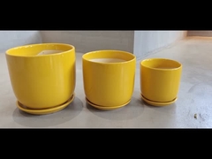 Các nồi gốm bền và giá cả phải chăng cho nhu cầu trồng của bạn Có nhiều kích thước khác nhau