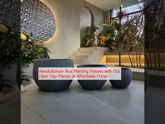 Cách mạng hóa quy trình trồng của bạn với máy trồng bằng sợi đất sét của chúng tôi với giá cả phải chăng