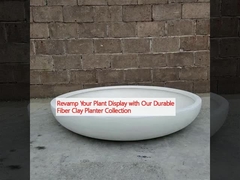 Tái tạo màn hình cây trồng của bạn với bộ sưu tập cây trồng bằng sợi đất sét bền của chúng tôi