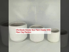 Không cần nỗ lực nâng cao màn hình cây trồng của bạn với máy trồng bằng sợi đất sét