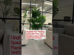 Cải thiện không gian trồng của bạn với máy trồng bằng sợi đất sét Một điều cần thiết khi tìm kiếm giải pháp