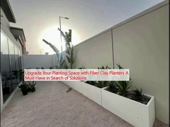 Cải thiện không gian trồng của bạn với máy trồng bằng sợi đất sét Một điều cần thiết khi tìm kiếm giải pháp