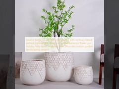 chậu trồng cây bằng đất sét sợi màu be trung tính hình tròn với hoa văn sọc dọc, nhẹ, bền, ít bảo trì, chậu hoa, trang trí biệt thự, khách sạn, trung tâm mua sắm, văn phòng, dự án cảnh quan vườn