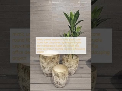 bắt chước kết cấu không đồng đều của đá nếp nhăn hình tròn sợi đất sét cây trồng nhẹ bền bảo trì thấp hoa nồi kỳ nghỉ Villa văn phòng trang trí mái nhà vườn công trình cảnh quan