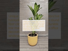 Chậu hoa vàng độc đáo: Hoa văn vỏ dưa lưới đặc biệt, chậu trồng bằng đất sét sợi tròn, nhẹ, bền, ít bảo trì, trang trí biệt thự ngày lễ, văn phòng, dự án cảnh quan sân thượng