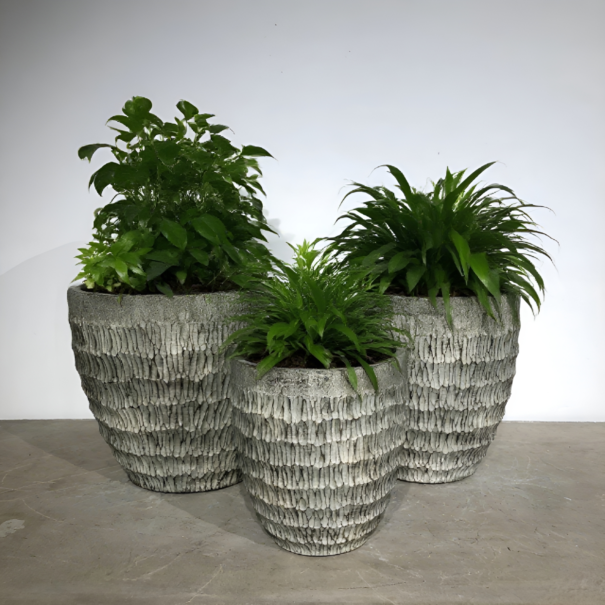 Blog công ty mới nhất về Thùng hoa xi măng: ¥Wabi - Sabi Style ¥