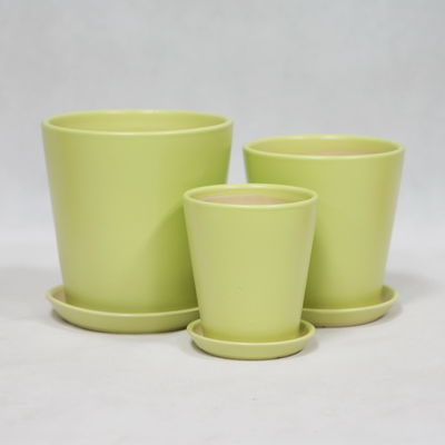 Mua Cây giữ gạch gọn trong vườn để trang trí nội thất dễ dàng online manufacture