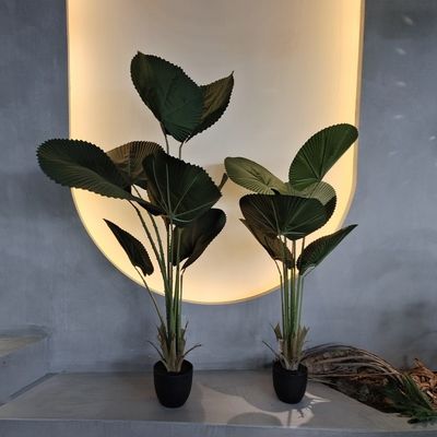 Mua Cây Cây Cây Cây Cây Cây Cây Cây Cây Cây Cây Cây Cây Cây Cây Cây Cây Cây Cây Cây Cây Cây Cây Cây Cây Cây Cây Cây online manufacture