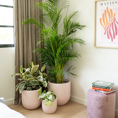 Mua Thùng hoa sợi thủy tinh trọng lượng nhẹ GRP Planter Box cho trang trí trong nhà ngoài trời online manufacture