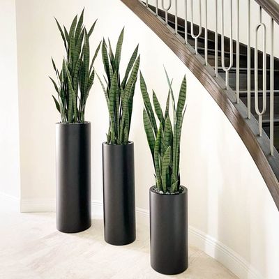 Mua Nhận được giá tốt nhất cho những nồi hoa sợi thủy tinh bền và phong cách cho khu vườn của bạn online manufacture