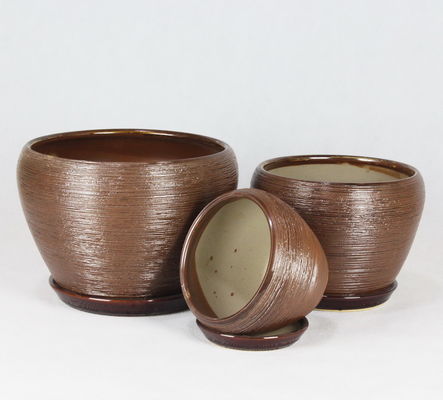 Mua Dầu gốm dễ làm sạch cho cây ngọt và xương rồng có kích thước khác nhau online manufacture