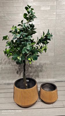 Mua Máy trồng bằng sợi đất sét tùy chỉnh với thời gian sống trong nhà 7-8 năm Hình dạng tròn online manufacture
