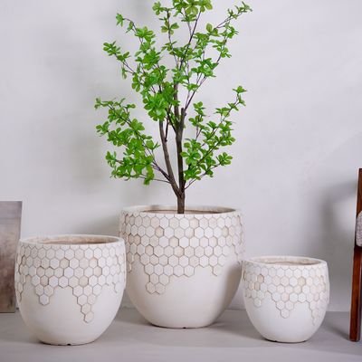 Mua Đồ trang trí nhà theo phong cách Bắc Âu cổ điển hiện đại Bán buôn trực tiếp từ nhà máy Chậu hoa đất sét tùy chỉnh Kệ trồng cây mọng nước Chậu trồng hoa online manufacture