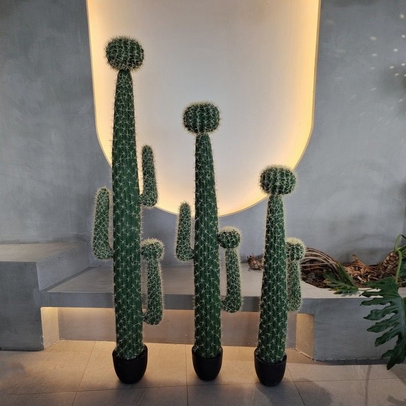 Tên