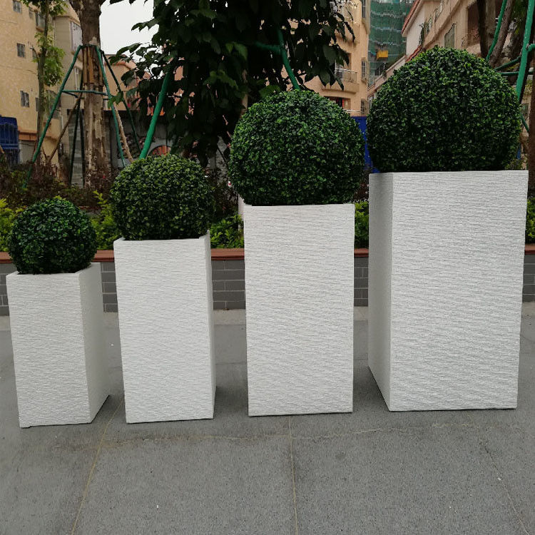 Tên