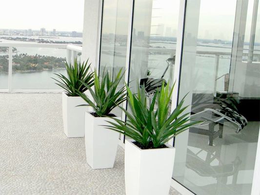 Các nồi trồng hoa bằng sợi thủy tinh vuông cho trong nhà và ngoài trời