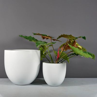 Phân tích hoa nhựa sợi thủy tinh cho trang trí nhà vườn ngọt ngào