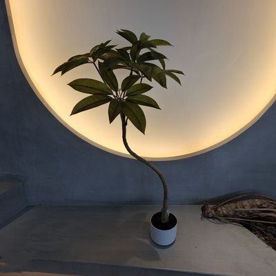 Chuyển đổi doanh nghiệp của bạn với cây Schefflera nhân tạo 110cm từ các nhà cung cấp hàng đầu