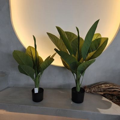 Chất liệu nhựa lâu dài Cây nhân tạo 70cm Cây Dieffenbachia nhân tạo