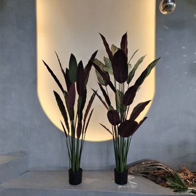 Cây Dieffenbachia nhân tạo cho trang trí bên ngoài trong nhà