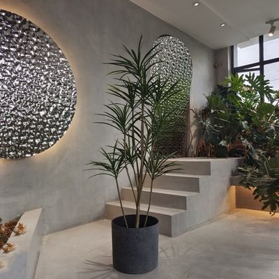 Máy trồng nhựa tái chế tròn nhẹ để trồng hạt giống
