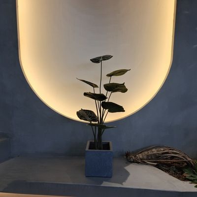 Xây trồng nhân tạo nhựa thực tế thân thiện với môi trường cây trồng trong nhà nhân tạo 90cm