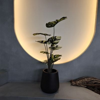 Cây Monstera giả chống côn trùng 70-100cm Cho trang trí bảo trì thấp