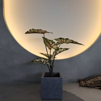 Cây nhân tạo nhựa xanh giống như cuộc sống 70-120cm Cho trang trí trong nhà / ngoài trời