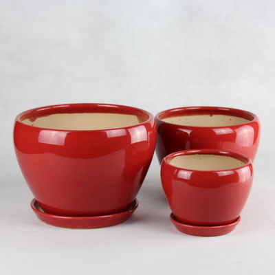 Các nồi gốm giá cả phải chăng và bền cho cây trồng của bạn Các thiết kế tùy chỉnh có sẵn