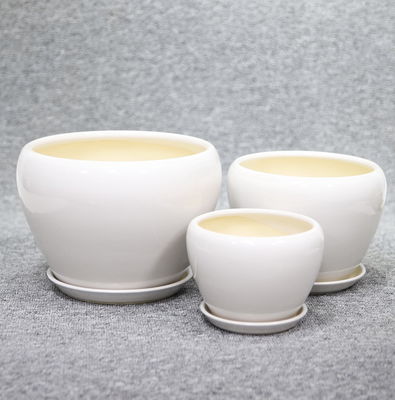 Hiển thị thực vật tuyệt đẹp với các nồi gốm giá cả phải chăng