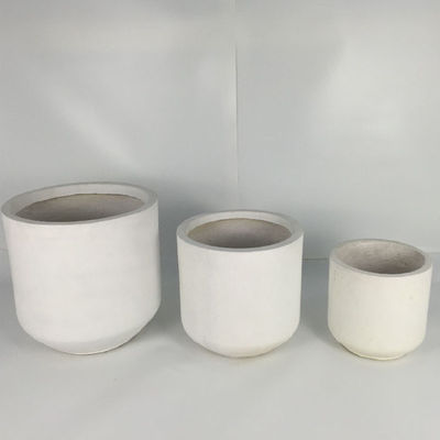 Đồ bán buôn thực vật hiển thị thực vật thực vật với clay Fiber Planters trang trí