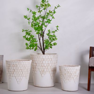 Modern Vintage Flower Pot Succulent Rack Customizable Nordic Home Decor Factory trực tiếp xuyên biên giới bán buôn sàn