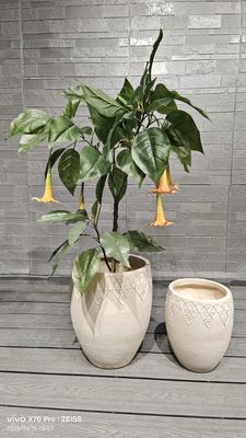 Thiết kế hoa phức tạp Trực tuyến Beige Vỏ vỏ Vỏ Vỏ Vỏ Vỏ Vỏ