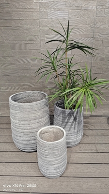 Chậu trồng cây bằng đất sét sợi màu xám nhạt với các đường gờ tròn ngang để trang trí nội thất