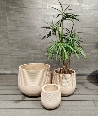 Chậu trồng cây bằng sợi đất sét hình tròn màu be tự nhiên ấm áp với kết cấu tương phản - Dự án trang trí nhà cửa