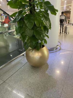 Tên