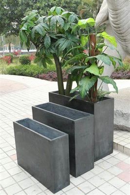 Tên