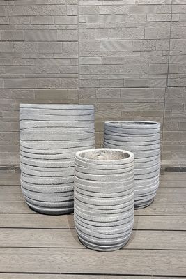 Tên